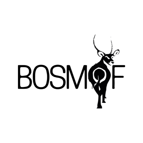 Unleash Confidence — The Bosmof Way